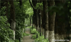 设想里焦点的科
